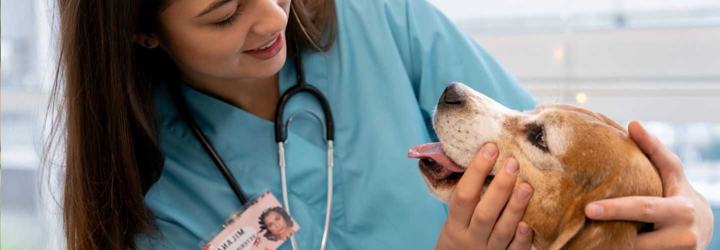 DERMATOLOGÍA EN PEQUEÑOS ANIMALES