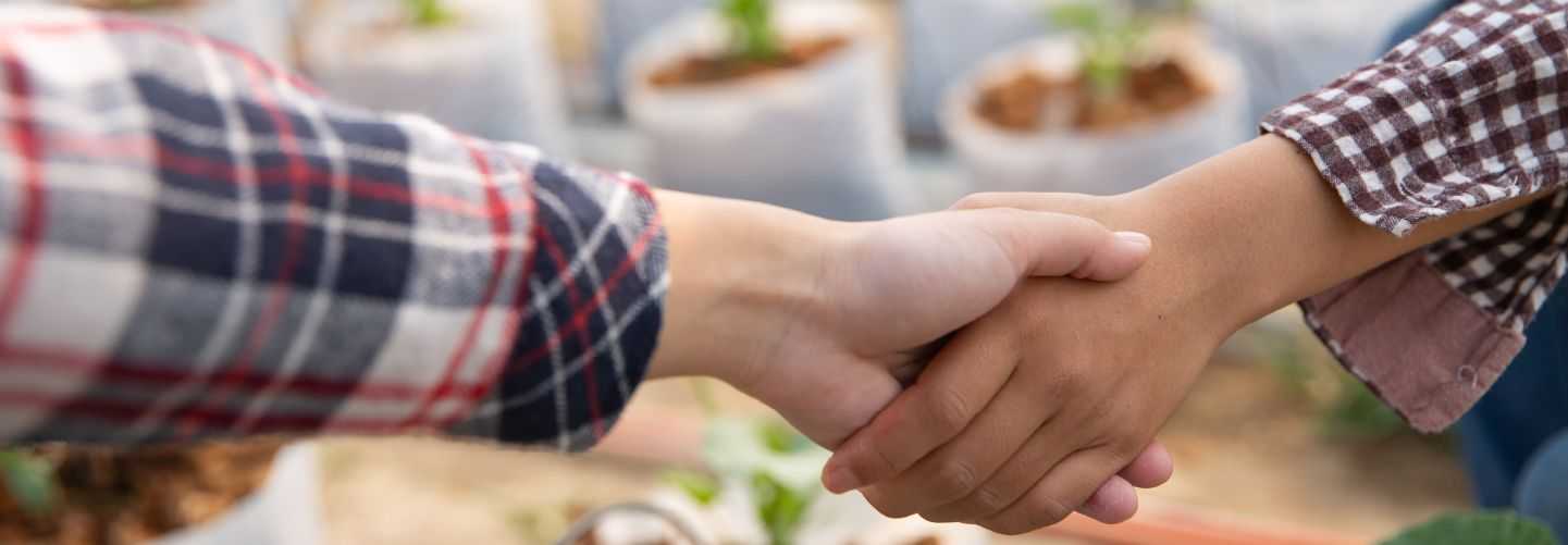 COMERCIO INTERNACIONAL EN AGRONEGOCIOS II