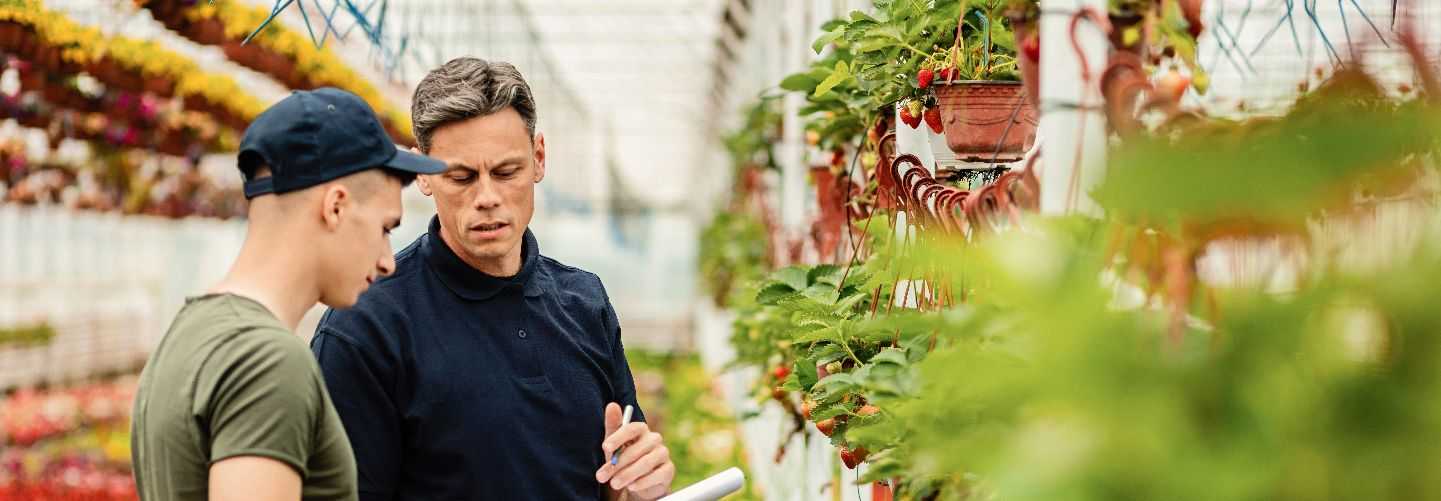 DIPLOMATURA EN AGROMANAGEMENT