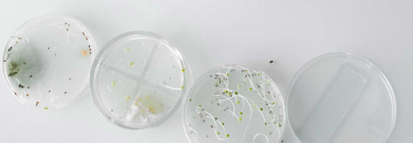 BIOTECNOLOGÍA ANIMAL Y VEGETAL