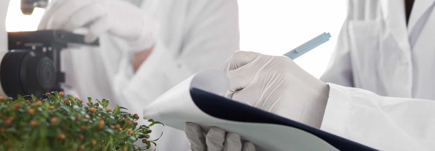 TOXICOLOGÍA DE LAS PLANTAS MEDICINALES