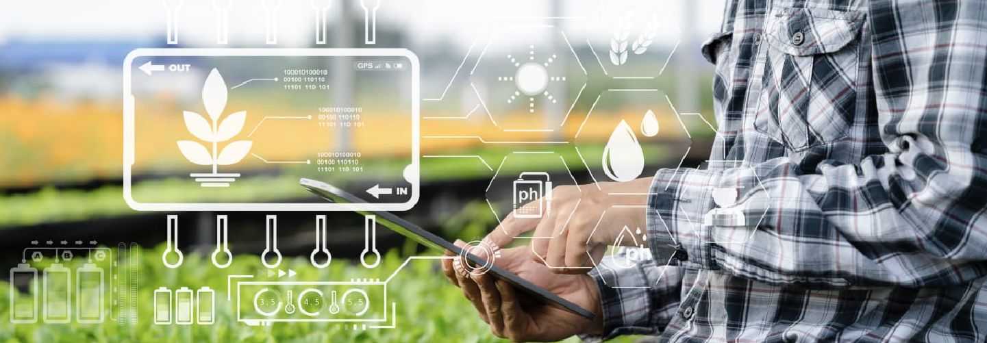 REVISIONES DE CONCEPTOS ECOFISIOLÓGICOS BÁSICOS PARA CULTIVOS DE GRANOS Y SUS ASOCIACIONES CON HERRAMIENTAS TECNOLÓGICAS
