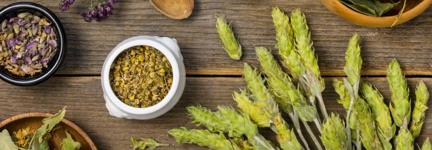 FITOTERAPIA APLICADA A DISTINTAS PATOLOGÍAS